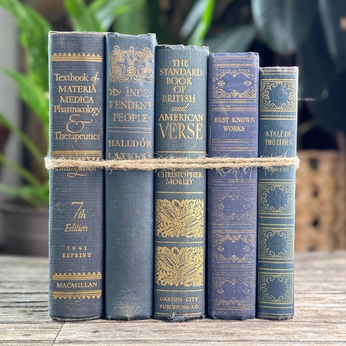 Dark Academia Navy & Gold Vintage Book Bundle for Shelf Styling