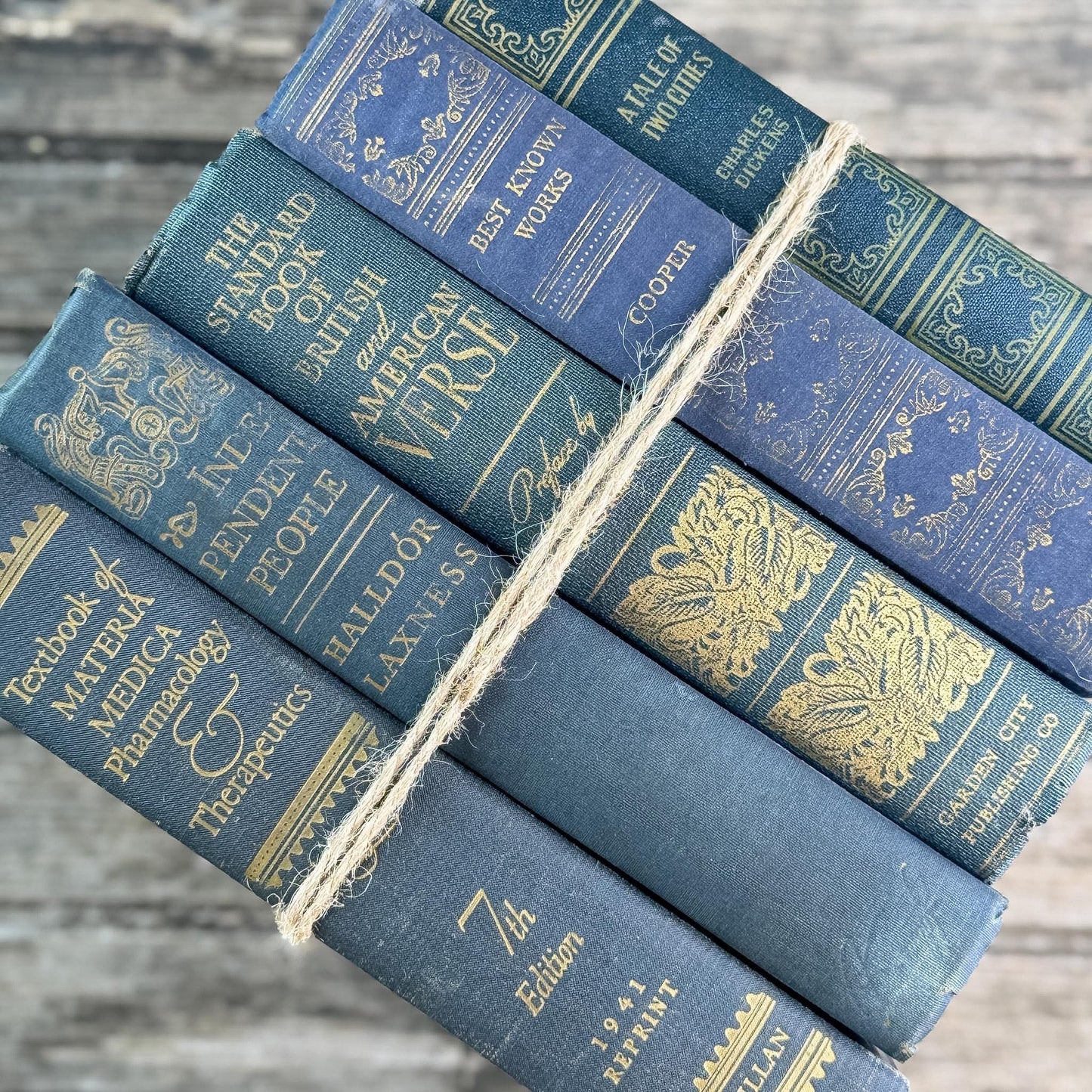 Dark Academia Navy & Gold Vintage Book Bundle for Shelf Styling