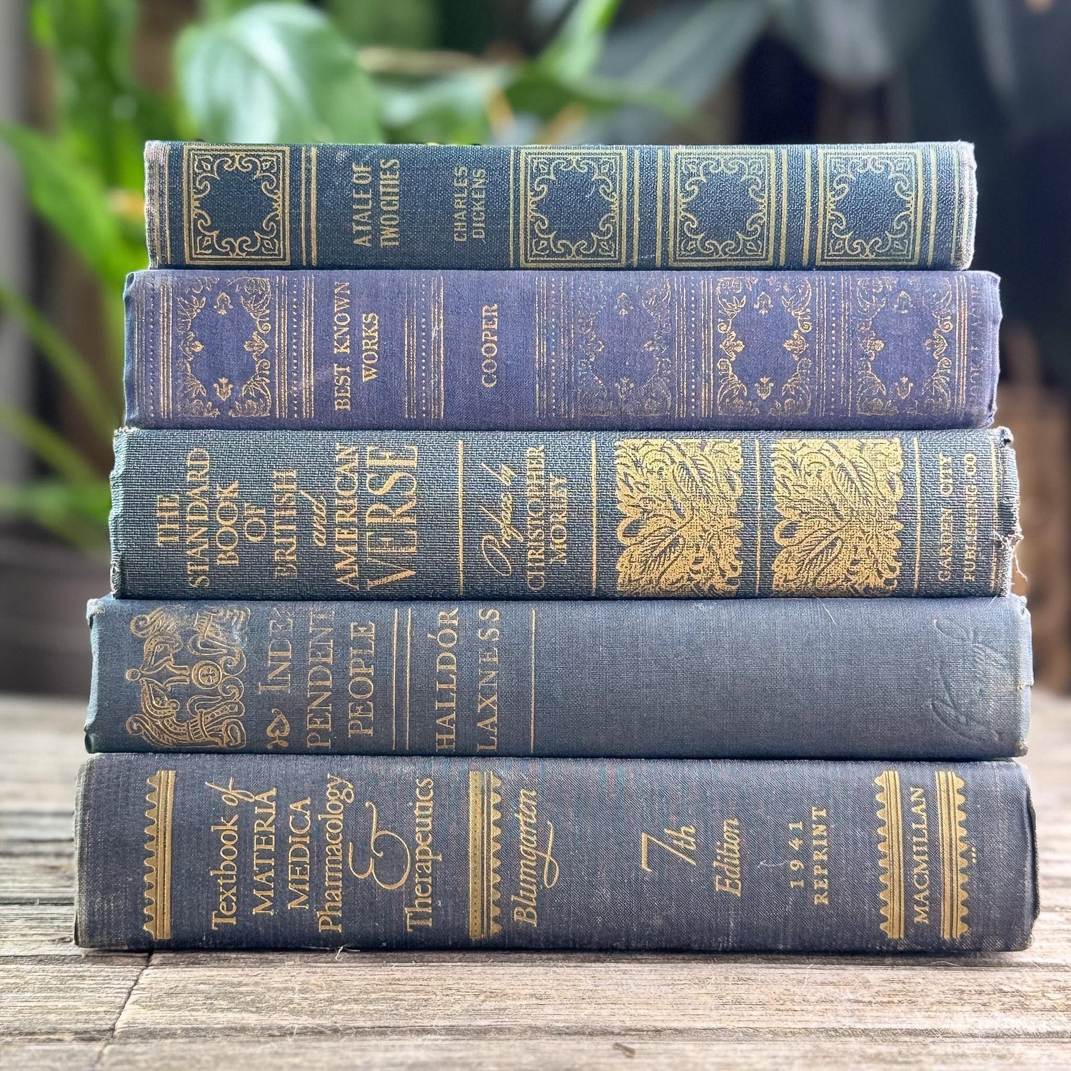 Dark Academia Navy & Gold Vintage Book Bundle for Shelf Styling