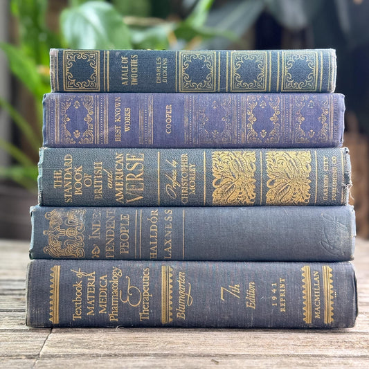 Dark Academia Navy & Gold Vintage Book Bundle for Shelf Styling