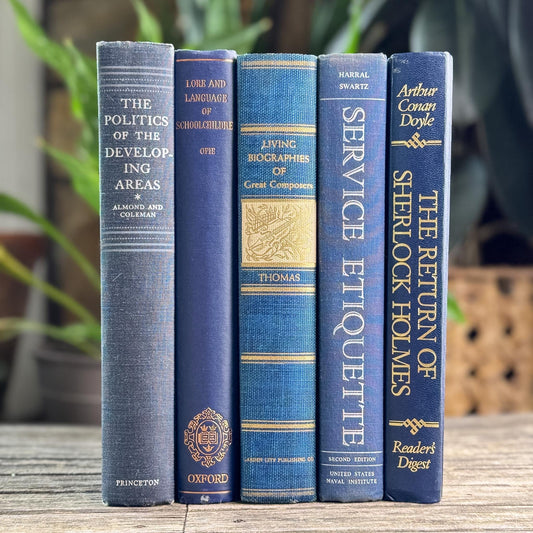 Navy Blue and Indigo Vintage Oversized Book Bundle
