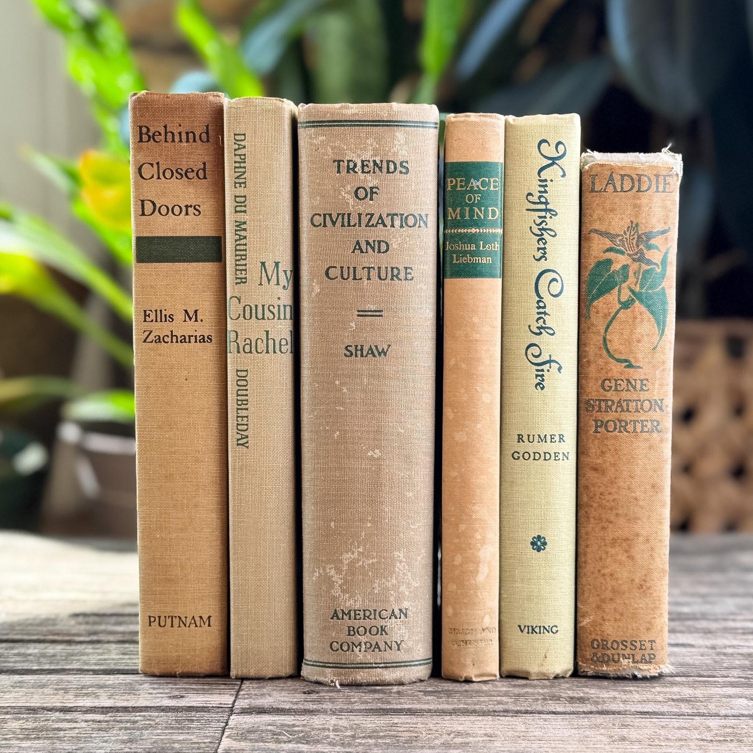 Vintage Beige & Neutral Book Bundle with Green Accents