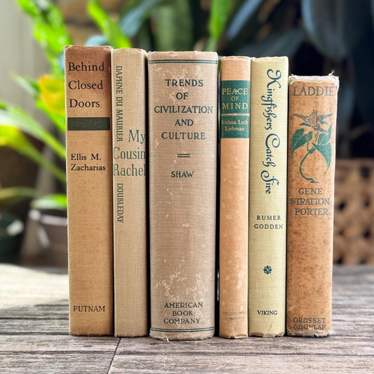 Vintage Beige & Neutral Book Bundle with Green Accents
