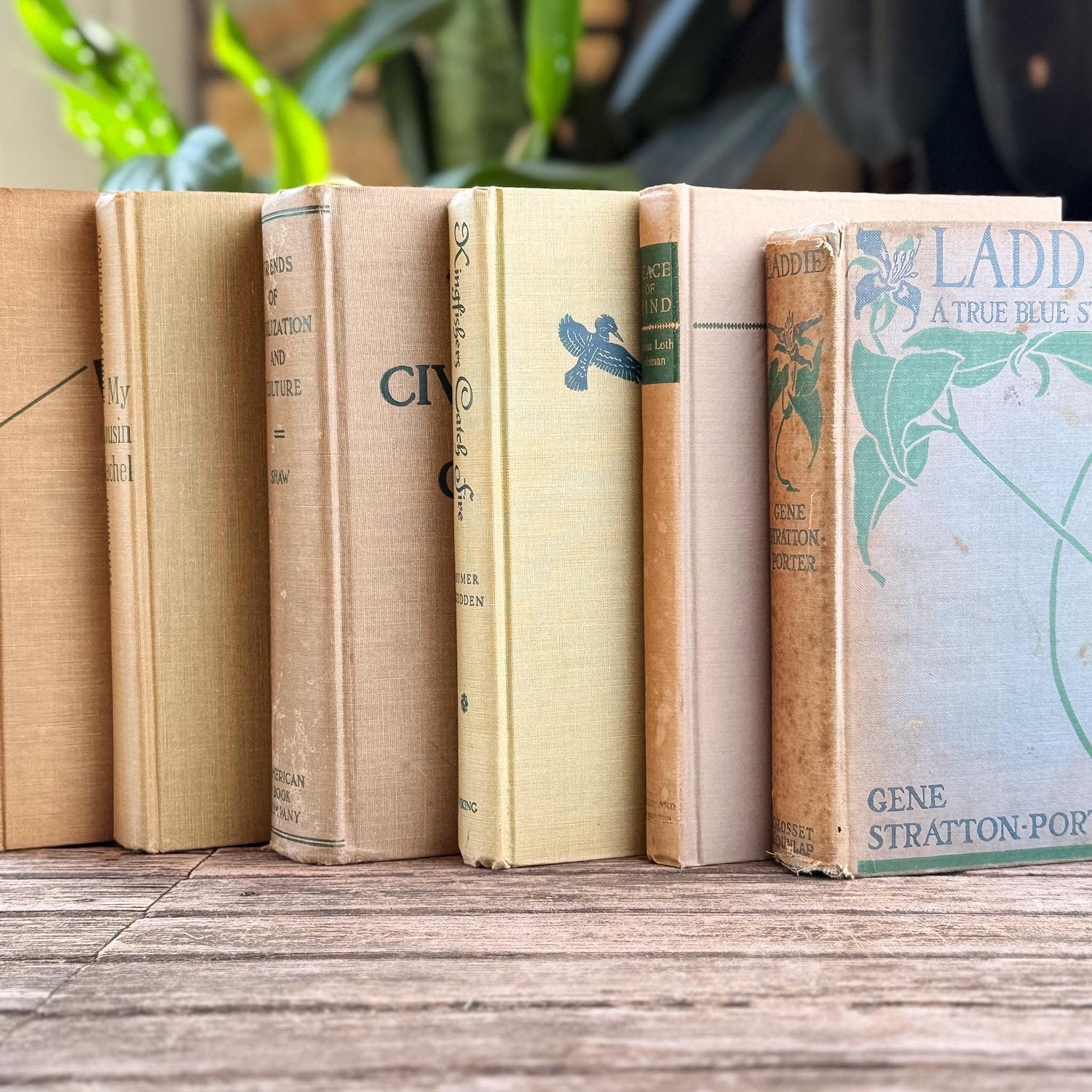 Vintage Beige & Neutral Book Bundle with Green Accents
