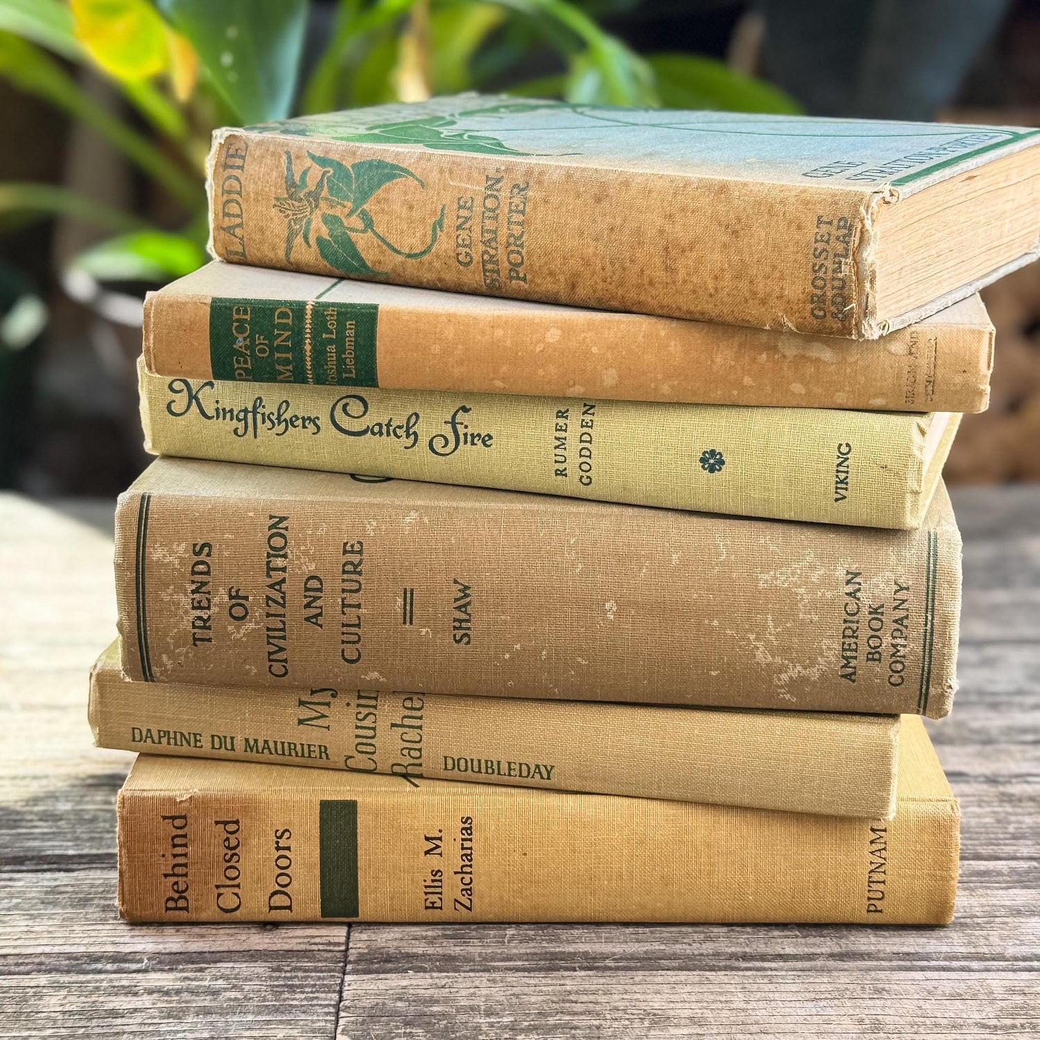 Vintage Beige & Neutral Book Bundle with Green Accents