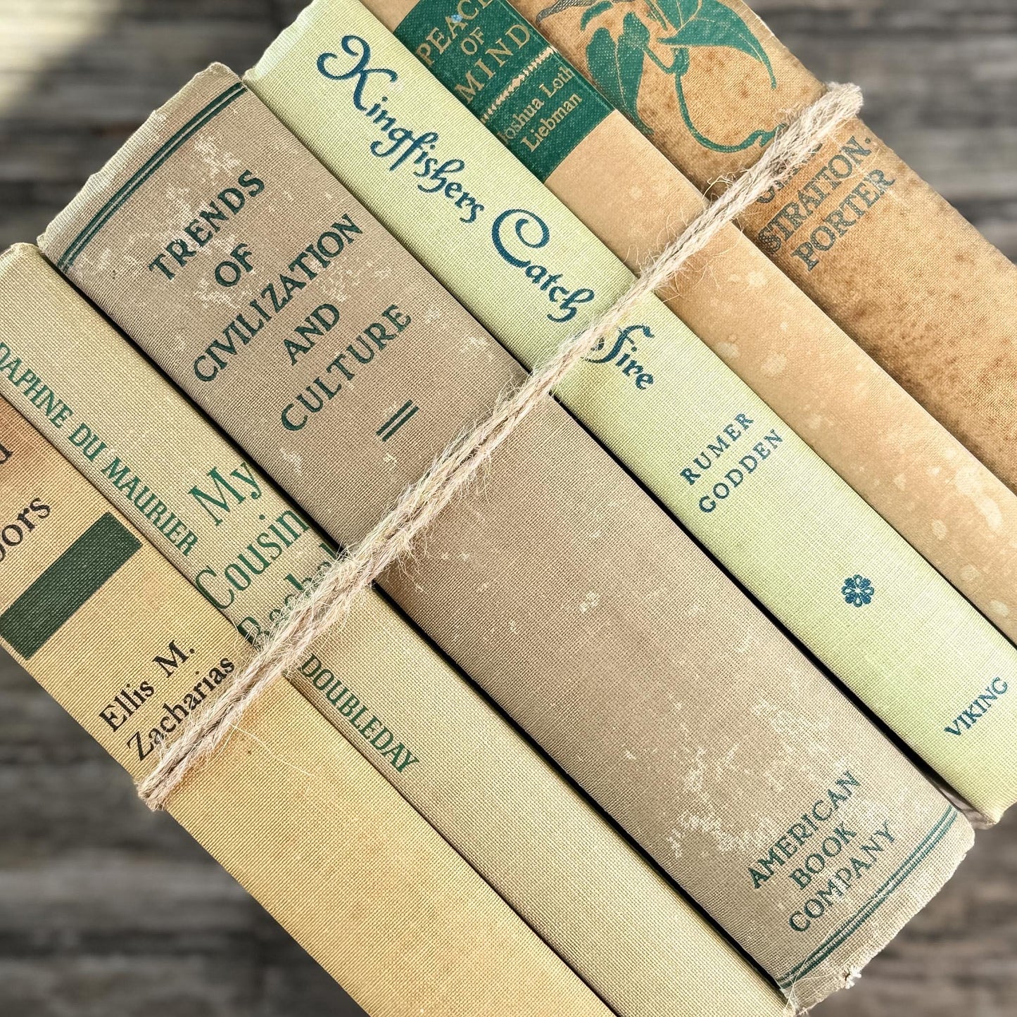 Vintage Beige & Neutral Book Bundle with Green Accents