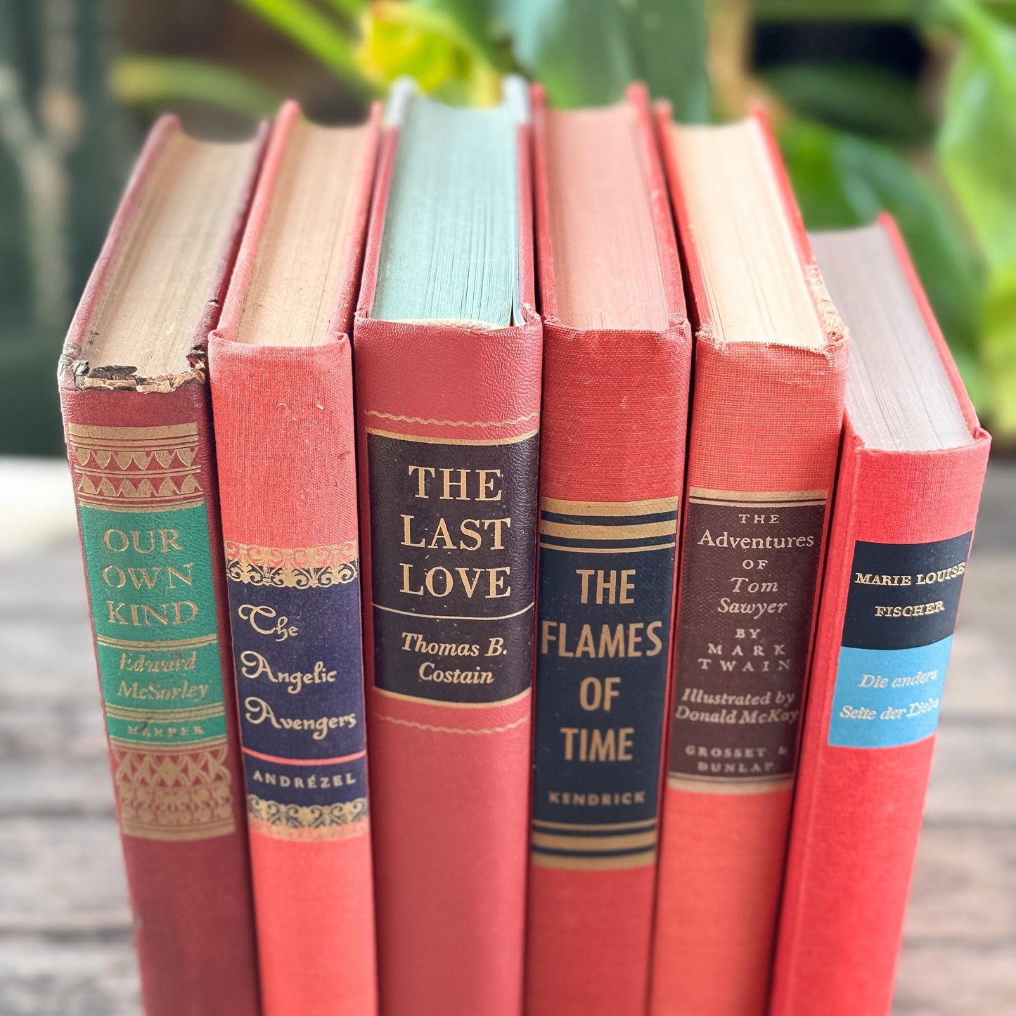 Vintage Mid-Century Red and Pink Book Bundle With Decorative Box Spine Details