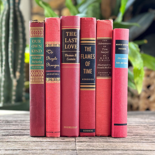 Vintage Mid-Century Red and Pink Book Bundle With Decorative Box Spine Details