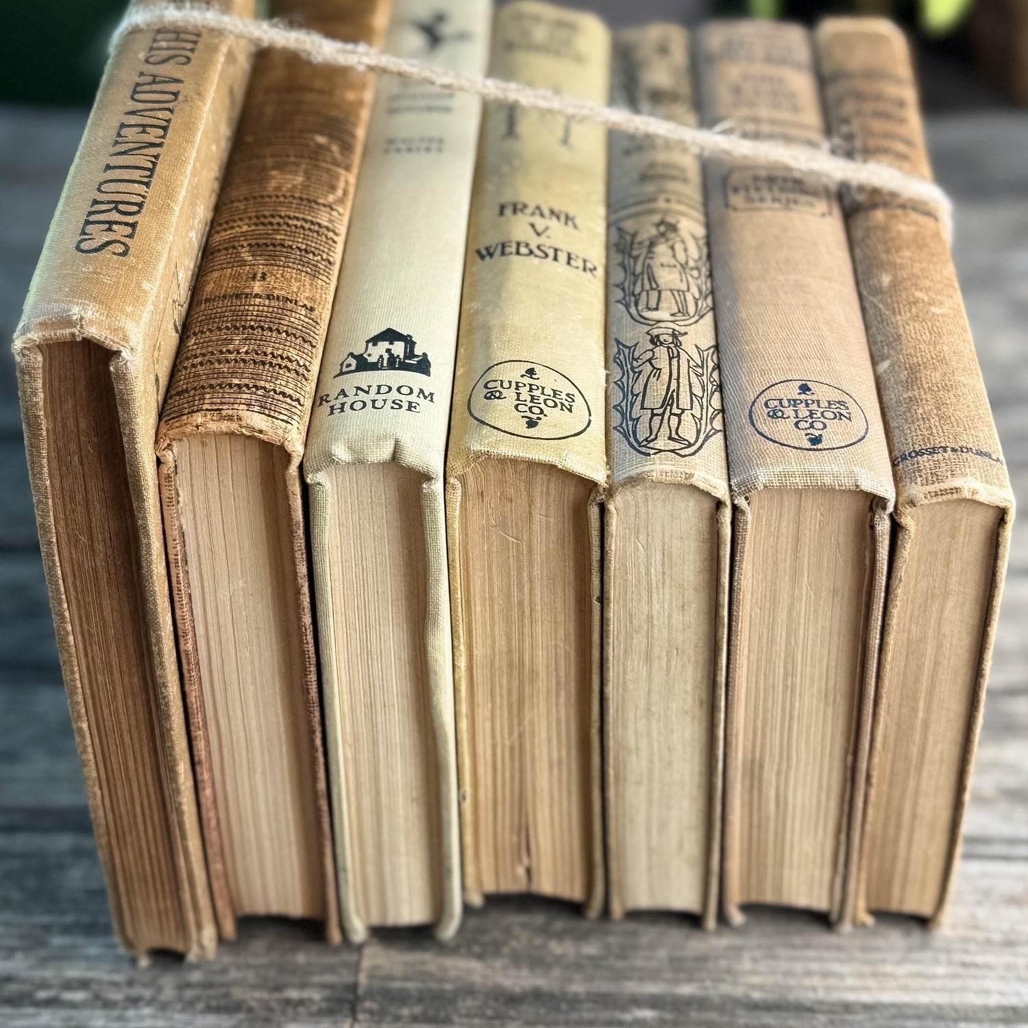 Antique Neutral Children's Book Bundle For Decor