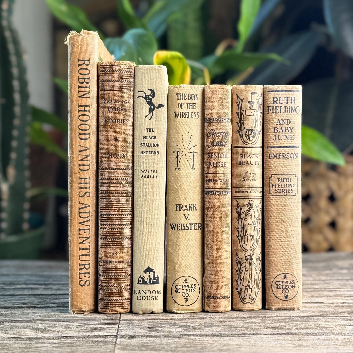 Antique Neutral Children's Book Bundle For Decor