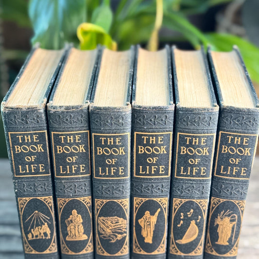 Vintage Blue Decorative Christian Book Set, The Book of Life, 1954