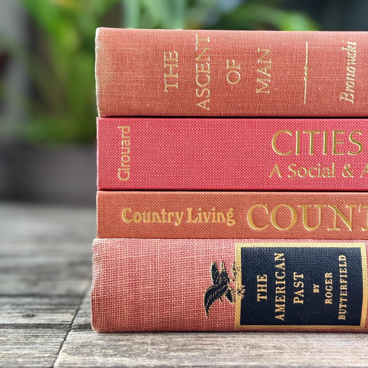 Vintage Terra Cotta and Red Gold Coffee Table Book Bundle for Decor