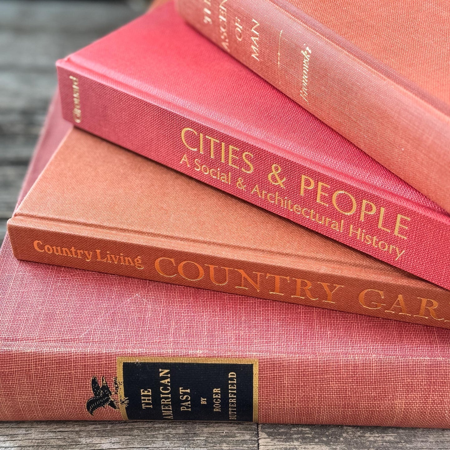 Vintage Terra Cotta and Red Gold Coffee Table Book Bundle for Decor