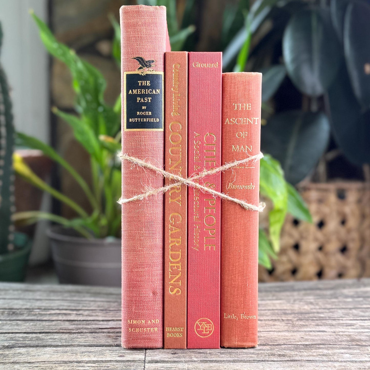 Vintage Terra Cotta and Red Gold Coffee Table Book Bundle for Decor