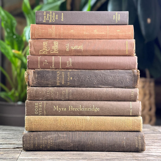 Moody Brown Vintage and Antique Book Bundle for Shelf Styling