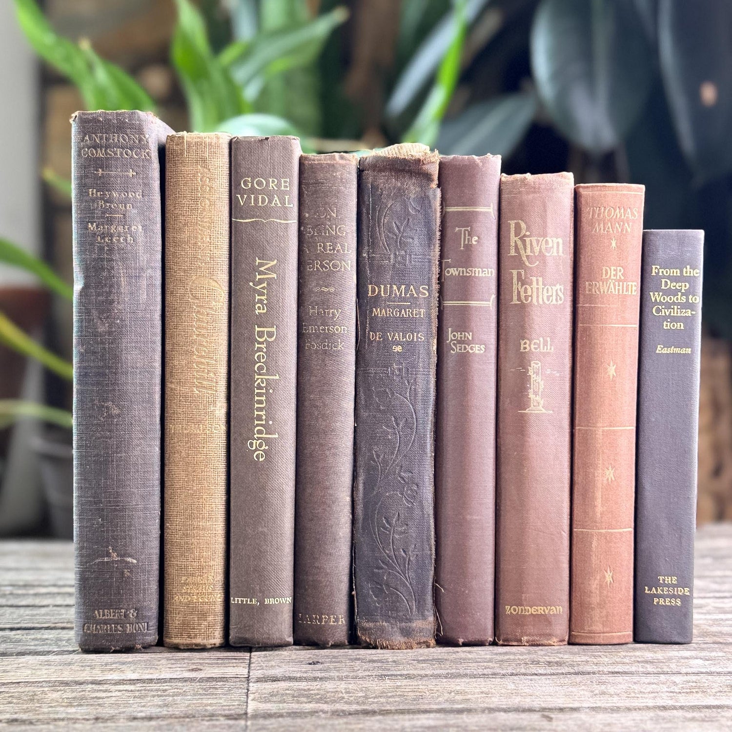 Neutral Vintage Book Bundles