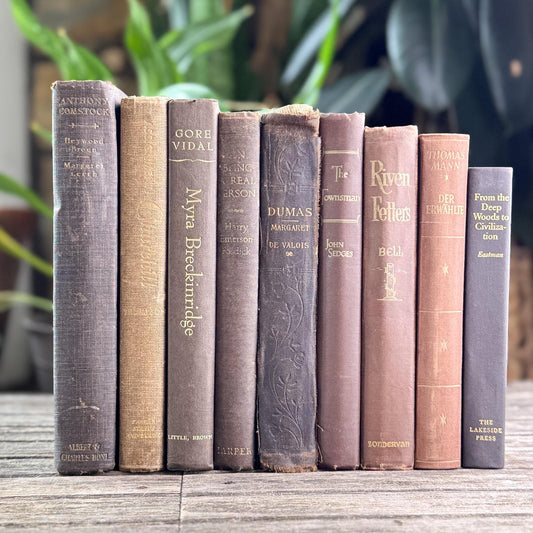 Moody Brown Vintage and Antique Book Bundle for Shelf Styling