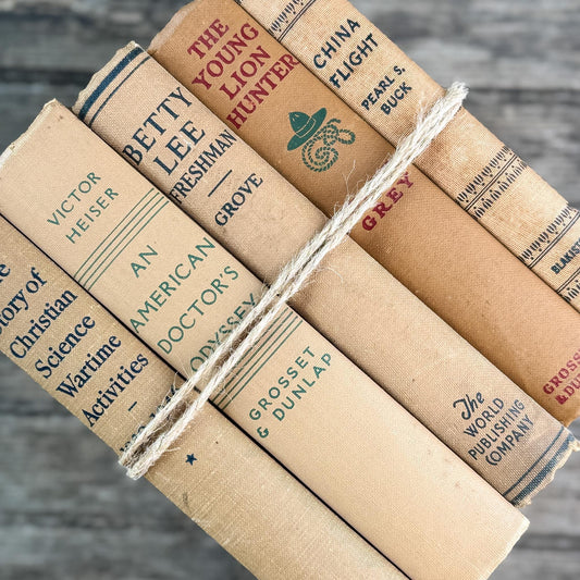 Vintage Neutral Shabby Book Bundle