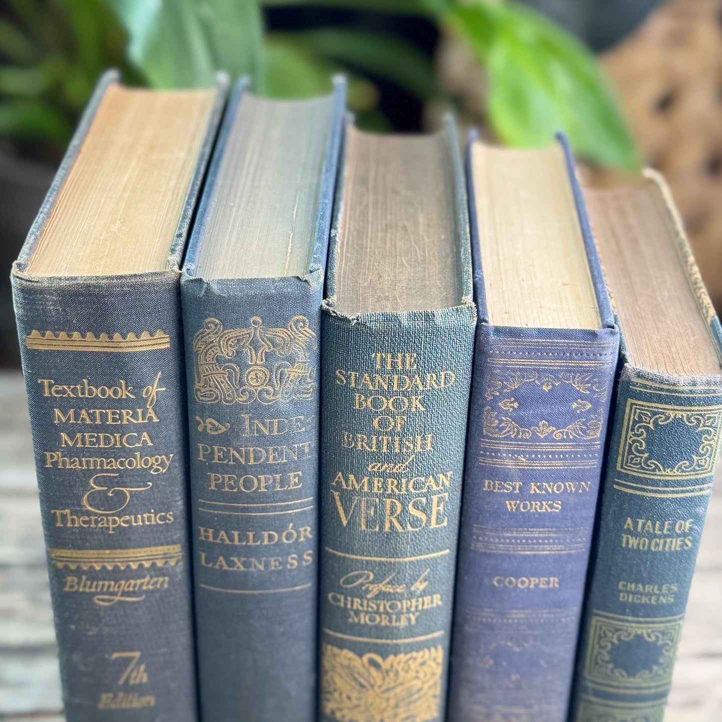 Dark Academia Navy & Gold Vintage Book Bundle for Shelf Styling