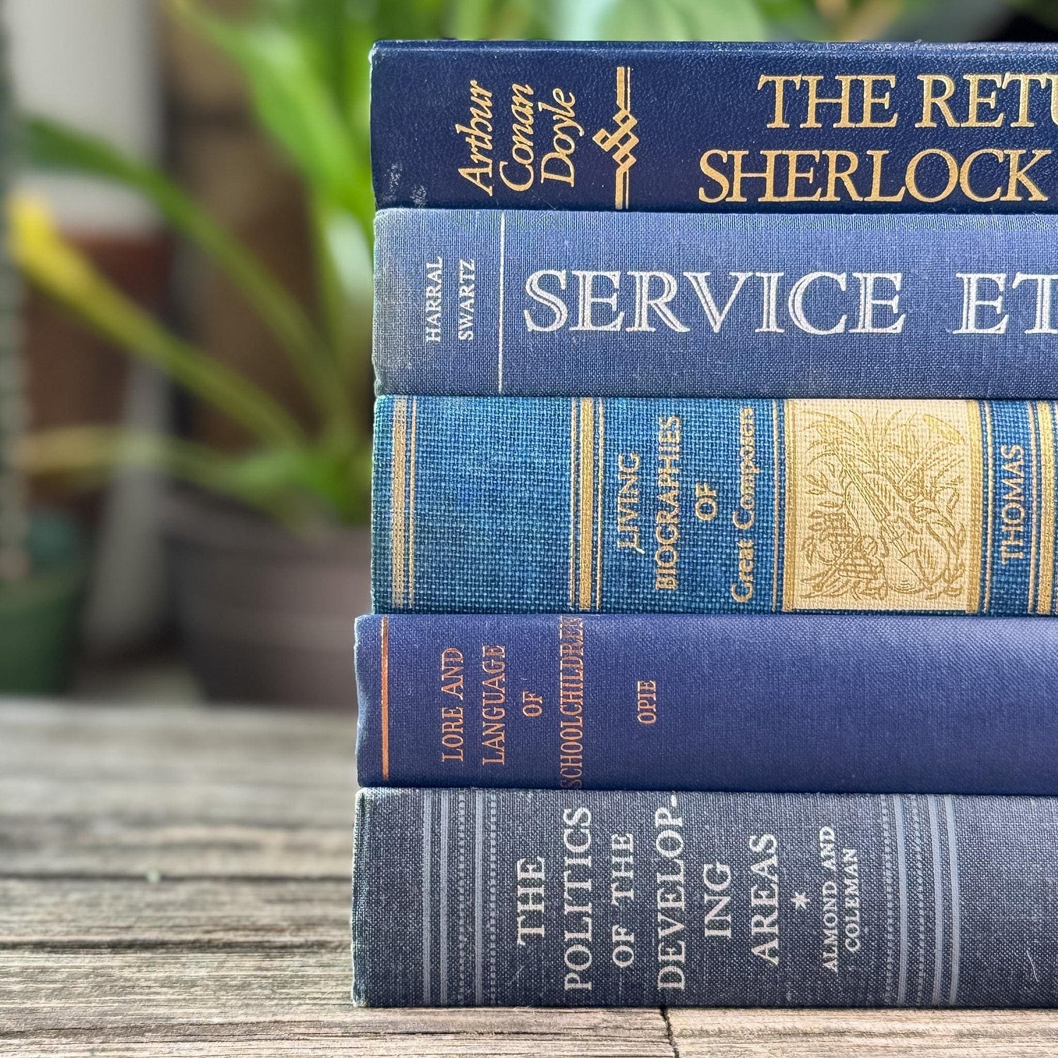 Navy Blue and Indigo Vintage Oversized Book Bundle