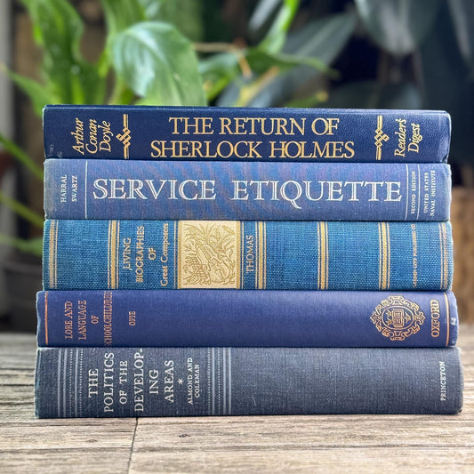 Navy Blue and Indigo Vintage Oversized Book Bundle