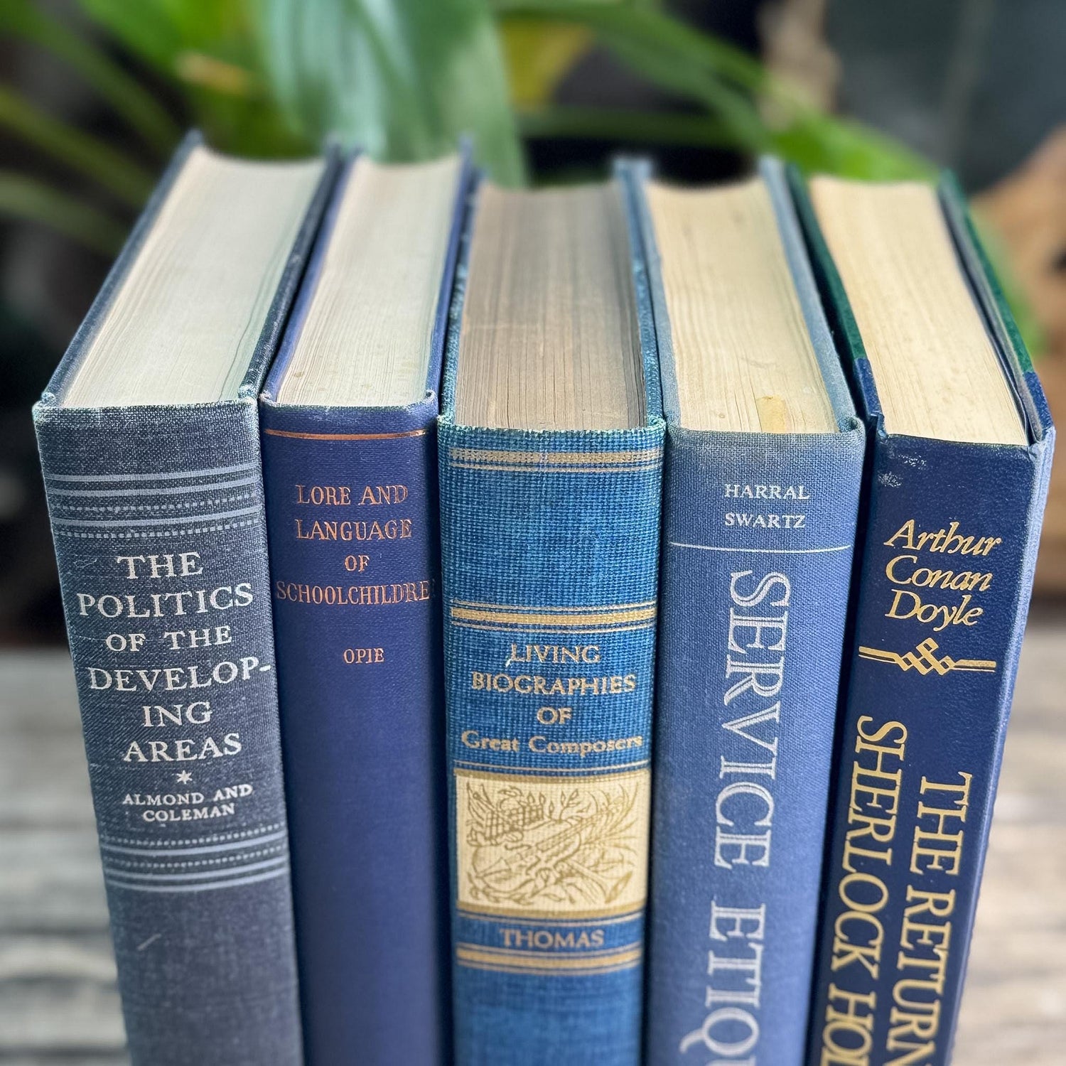 Navy Blue and Indigo Vintage Oversized Book Bundle