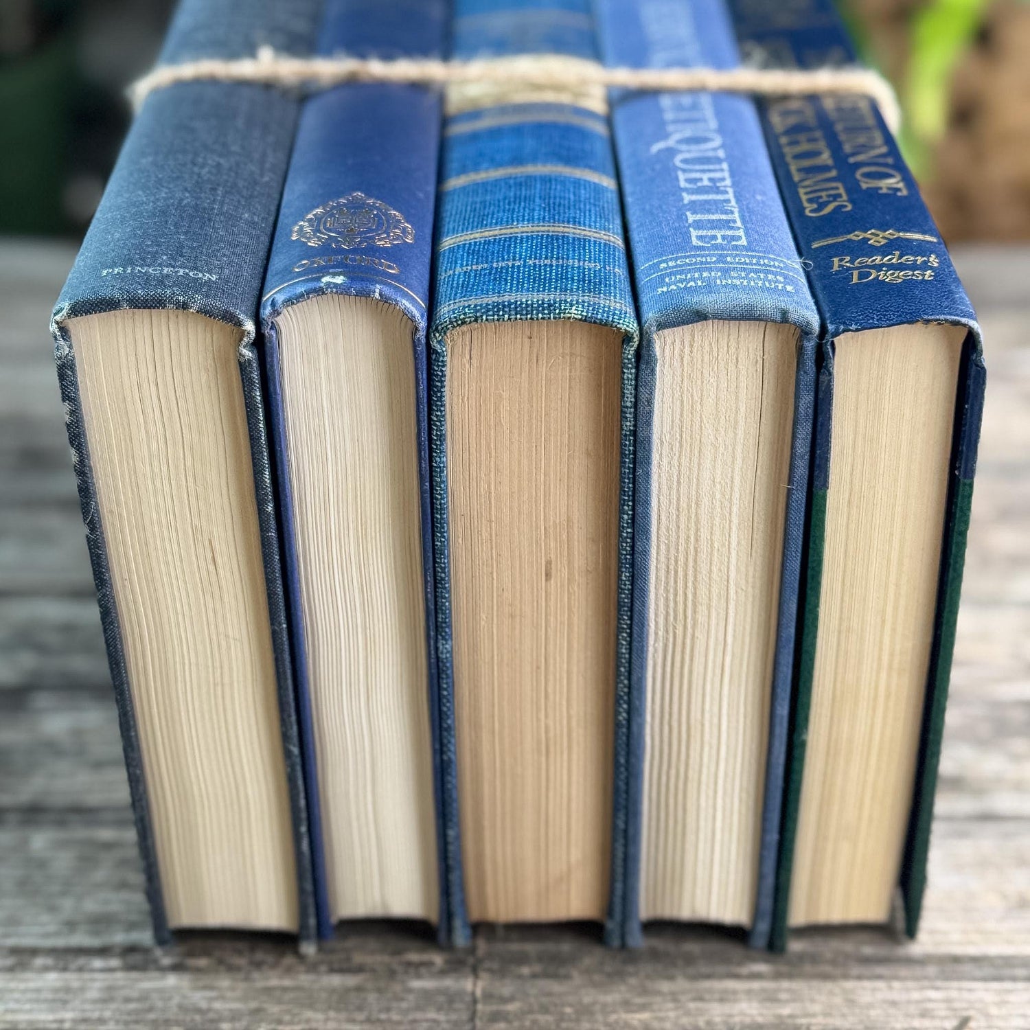 Navy Blue and Indigo Vintage Oversized Book Bundle