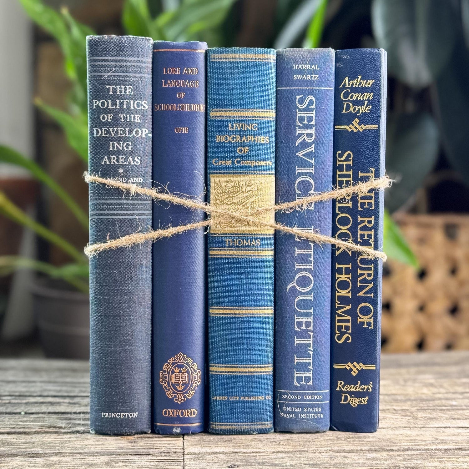 Navy Blue and Indigo Vintage Oversized Book Bundle