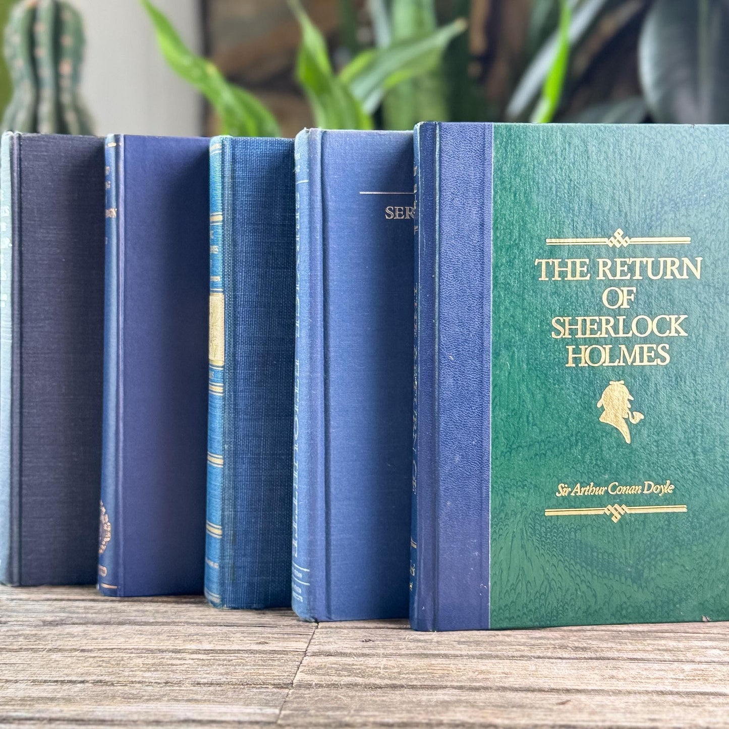 Navy Blue and Indigo Vintage Oversized Book Bundle