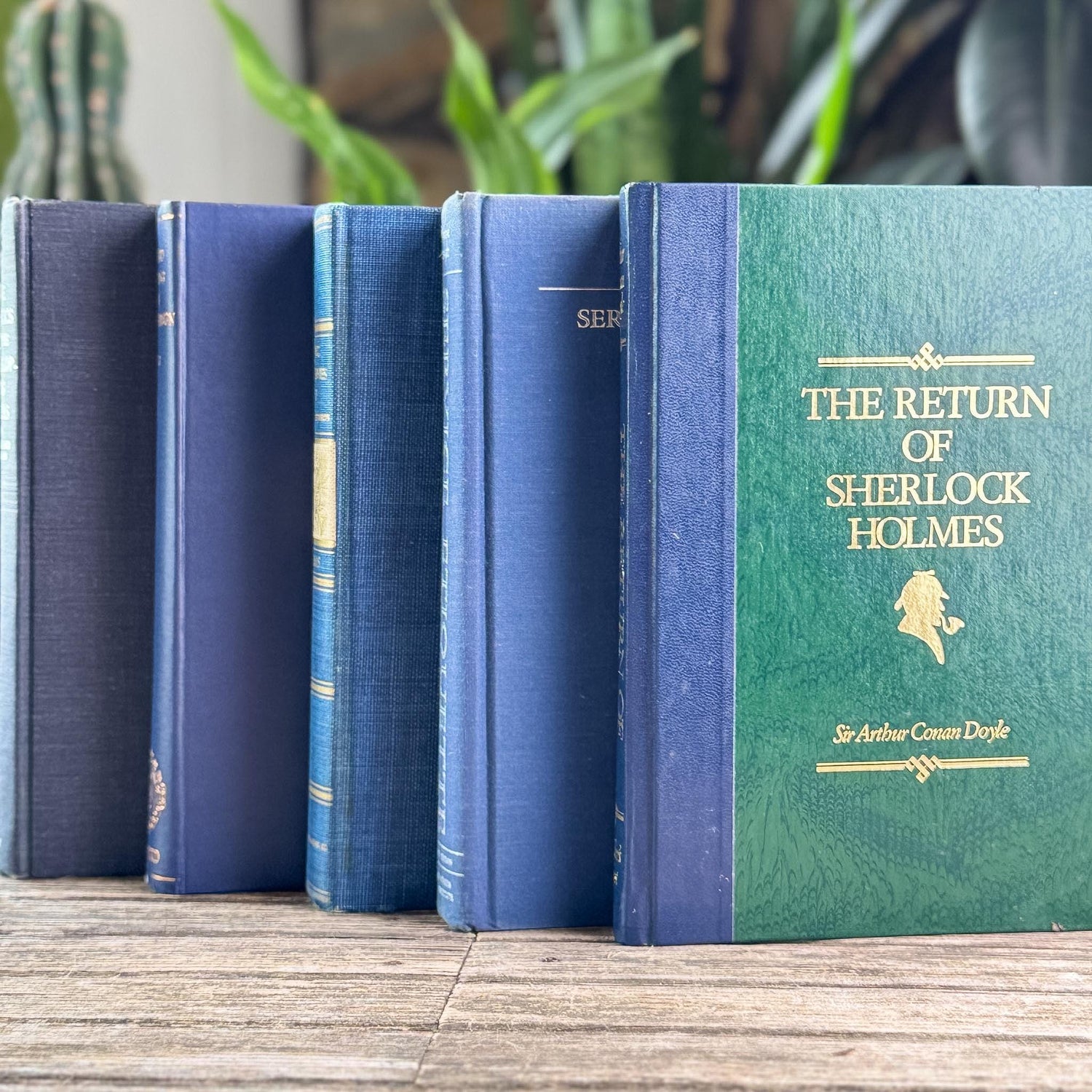 Navy Blue and Indigo Vintage Oversized Book Bundle