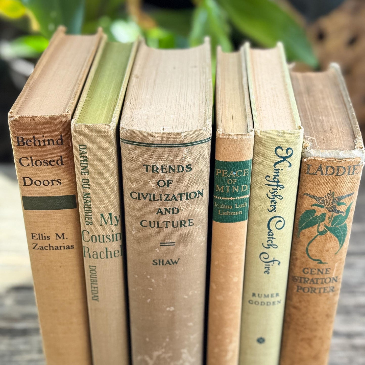 Vintage Beige & Neutral Book Bundle with Green Accents