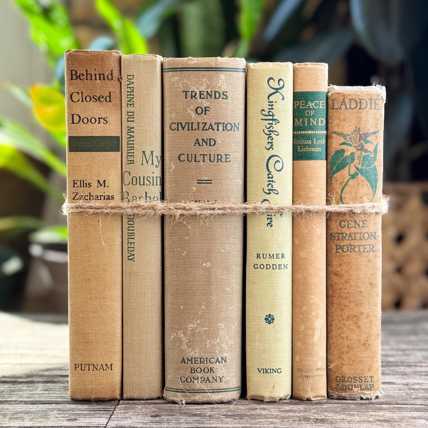 Vintage Beige & Neutral Book Bundle with Green Accents