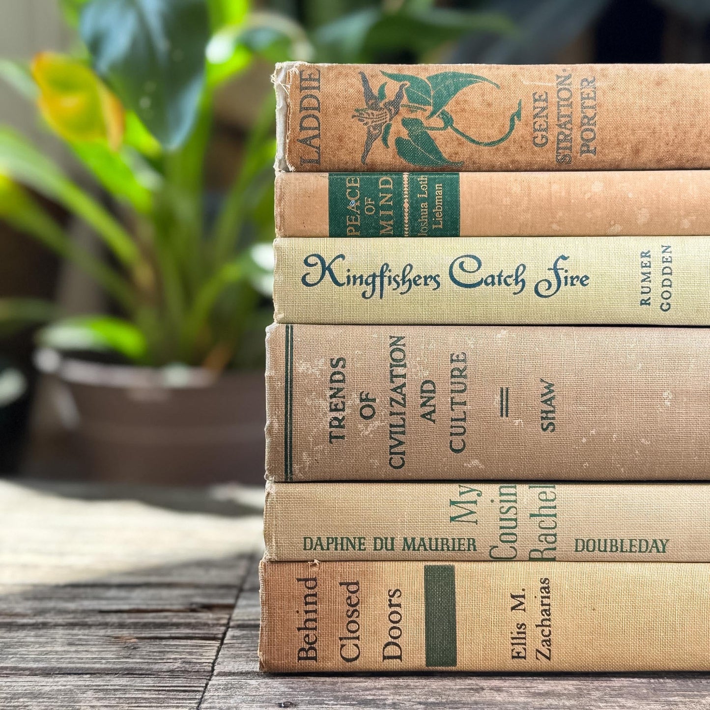 Vintage Beige & Neutral Book Bundle with Green Accents