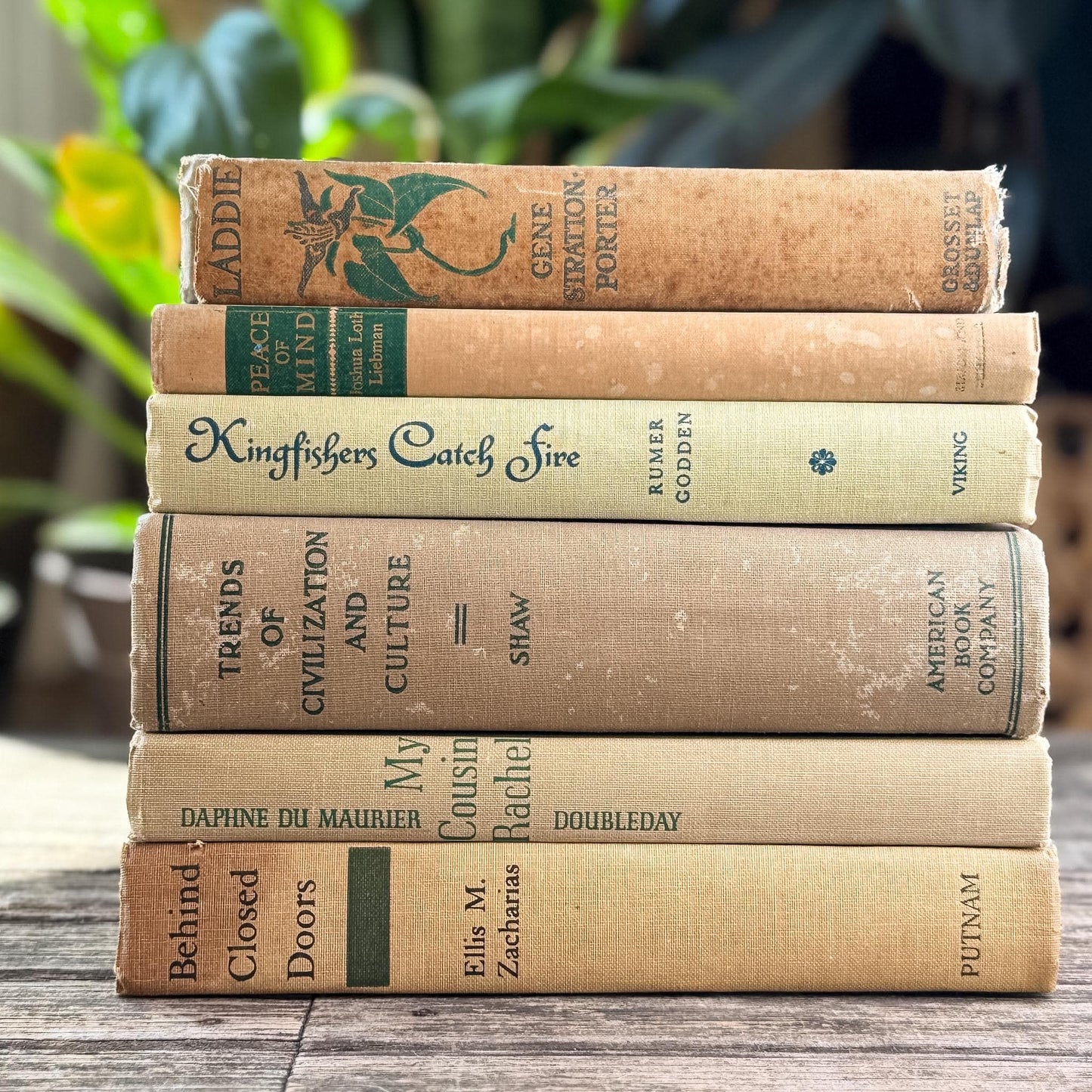 Vintage Beige & Neutral Book Bundle with Green Accents