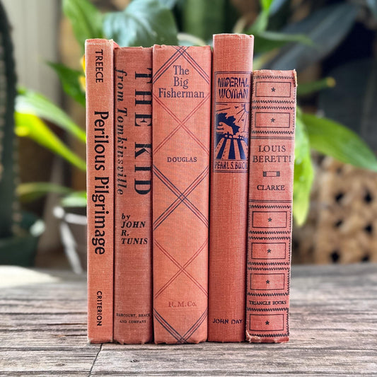Vintage Salmon & Peachy Red Book Bundle for Shelf Décor