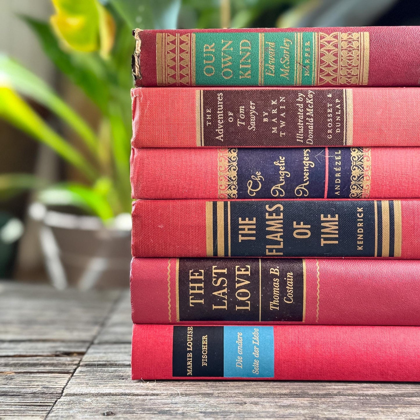Vintage Mid-Century Red and Pink Book Bundle With Decorative Box Spine Details