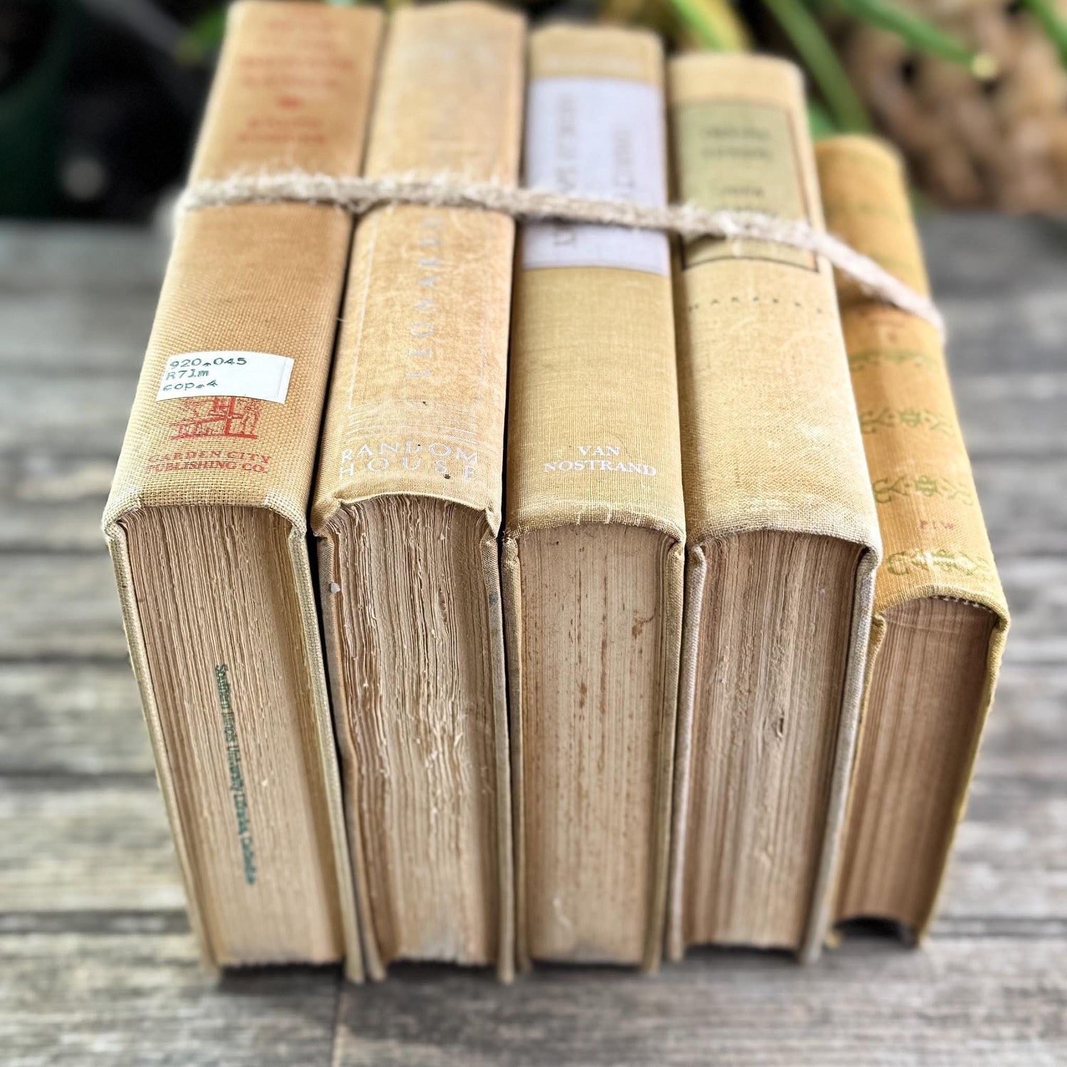 Vintage Neutral Beige Book Bundle for Shelf Styling