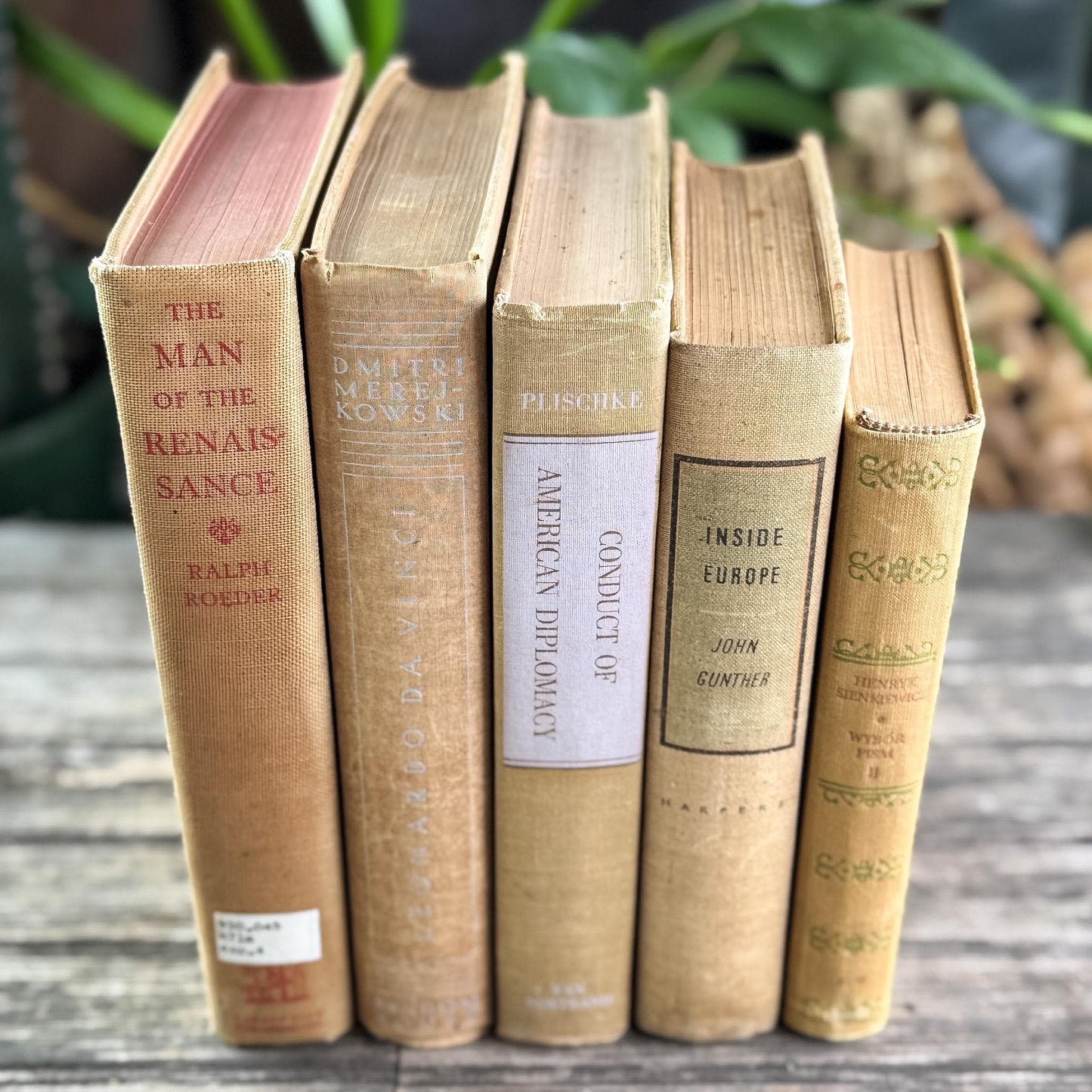 Vintage Neutral Beige Book Bundle for Shelf Styling