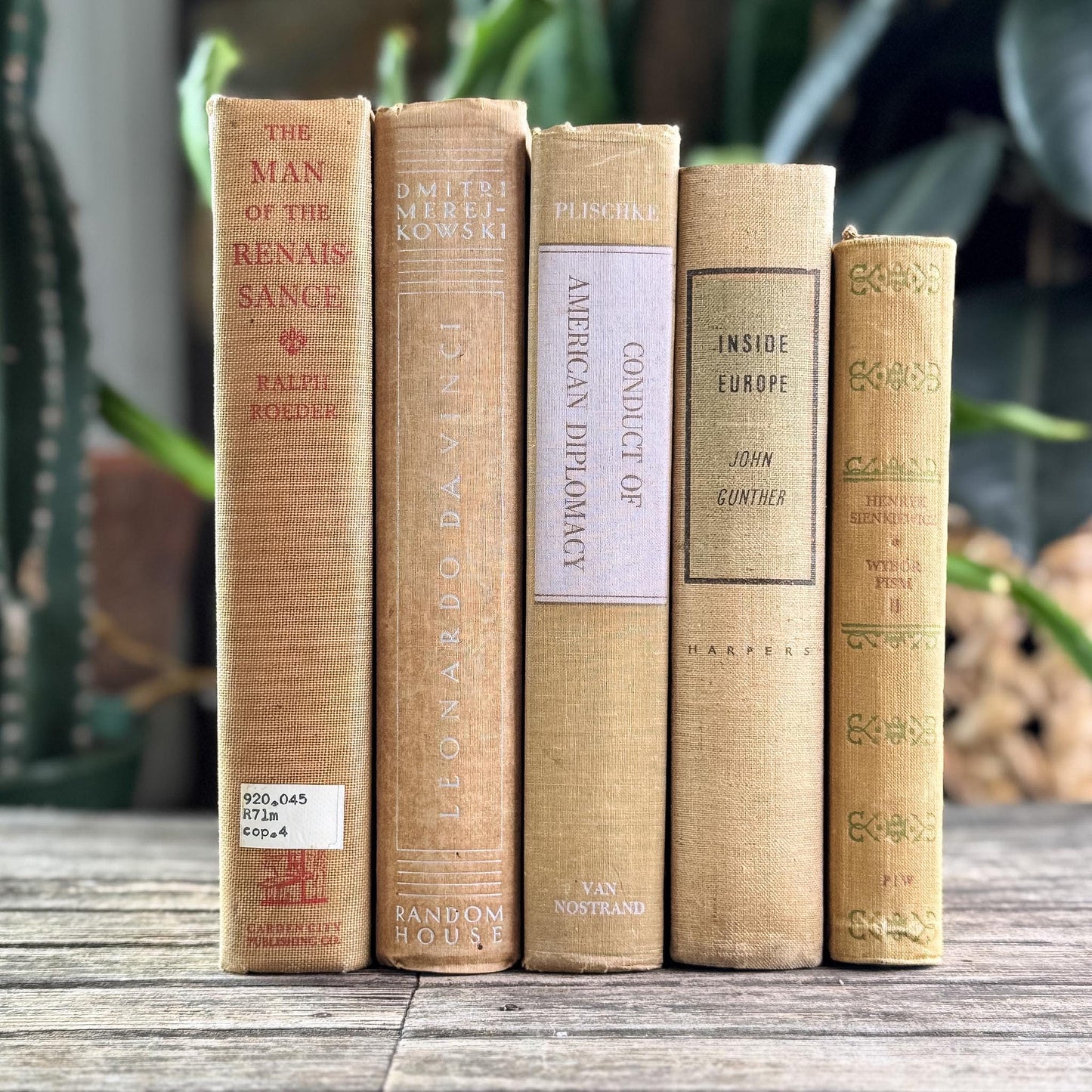 Vintage Neutral Beige Book Bundle for Shelf Styling
