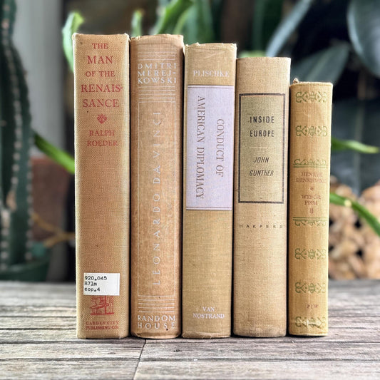 Vintage Neutral Beige Book Bundle for Shelf Styling