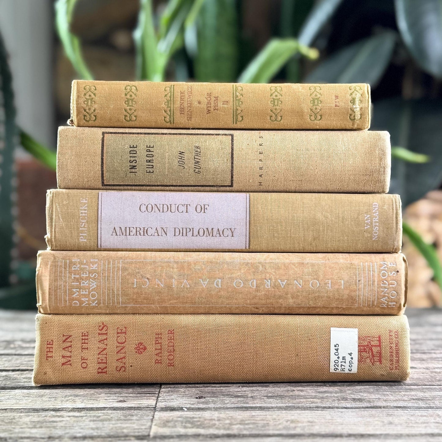 Vintage Neutral Beige Book Bundle for Shelf Styling