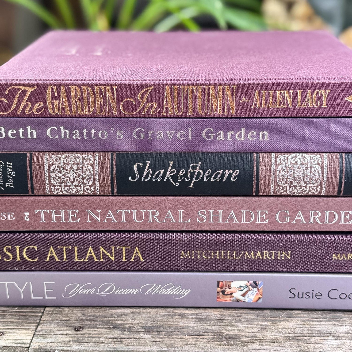 Vintage Purple and Mauve Decorative Coffee Table Book Set – Pretty