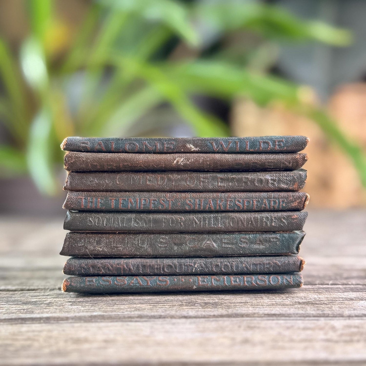 Antique Green Little Leather Library Book Bundle