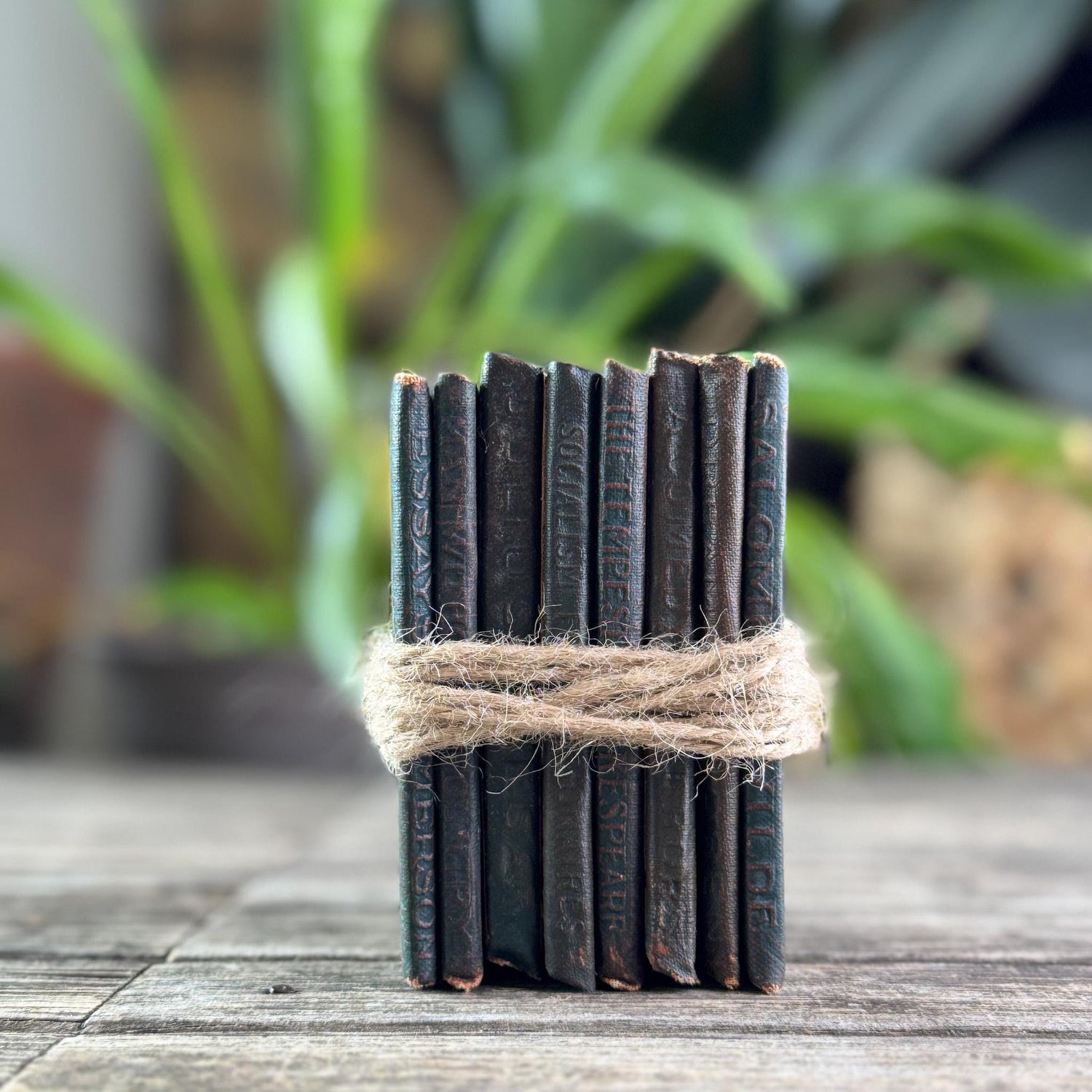 Antique Green Little Leather Library Book Bundle