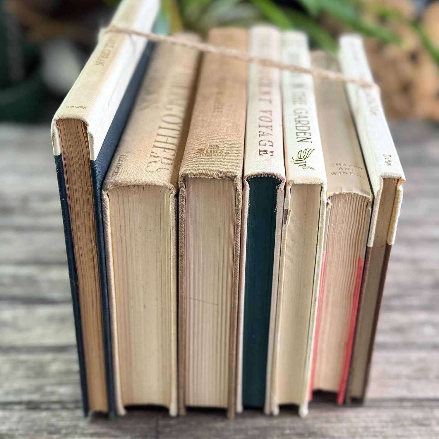 Vintage Book Set in White, Cream, Beige, Gold, and Bronze