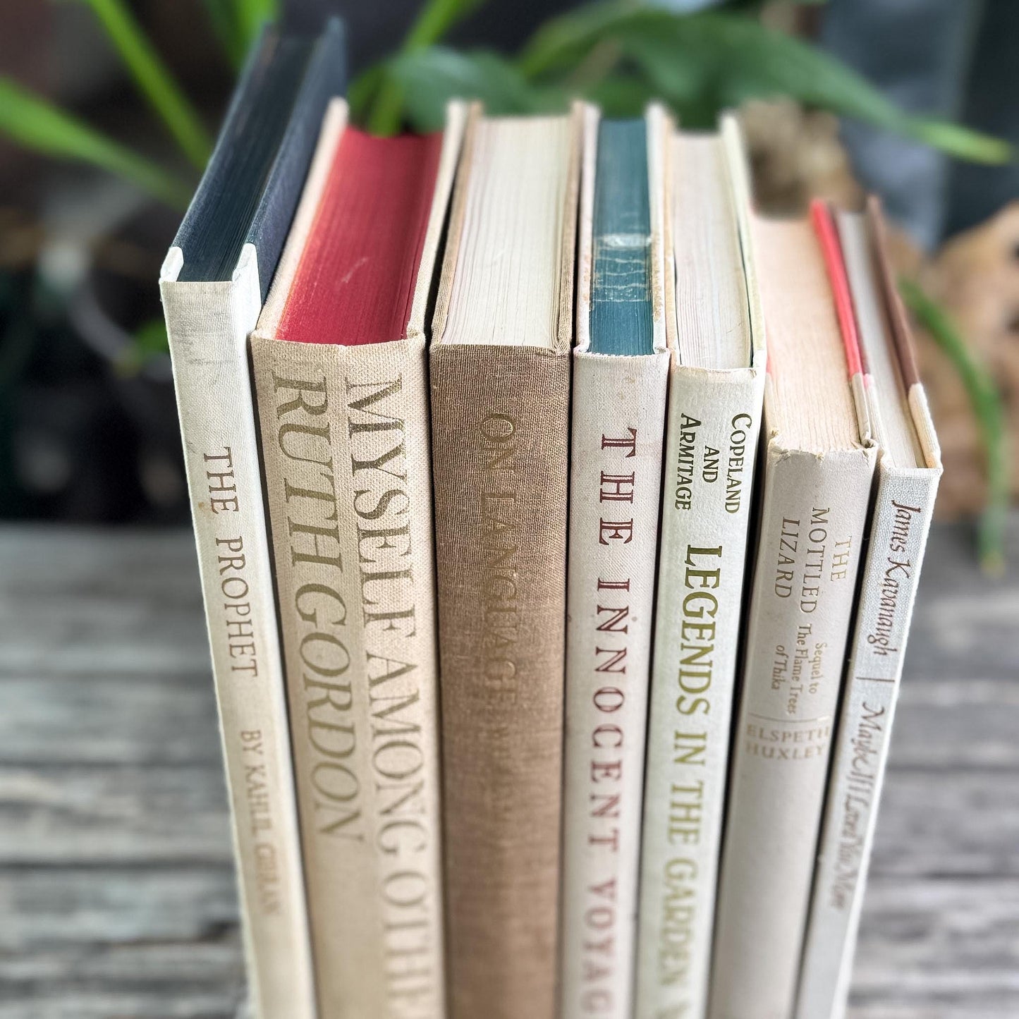 Vintage Book Set in White, Cream, Beige, Gold, and Bronze