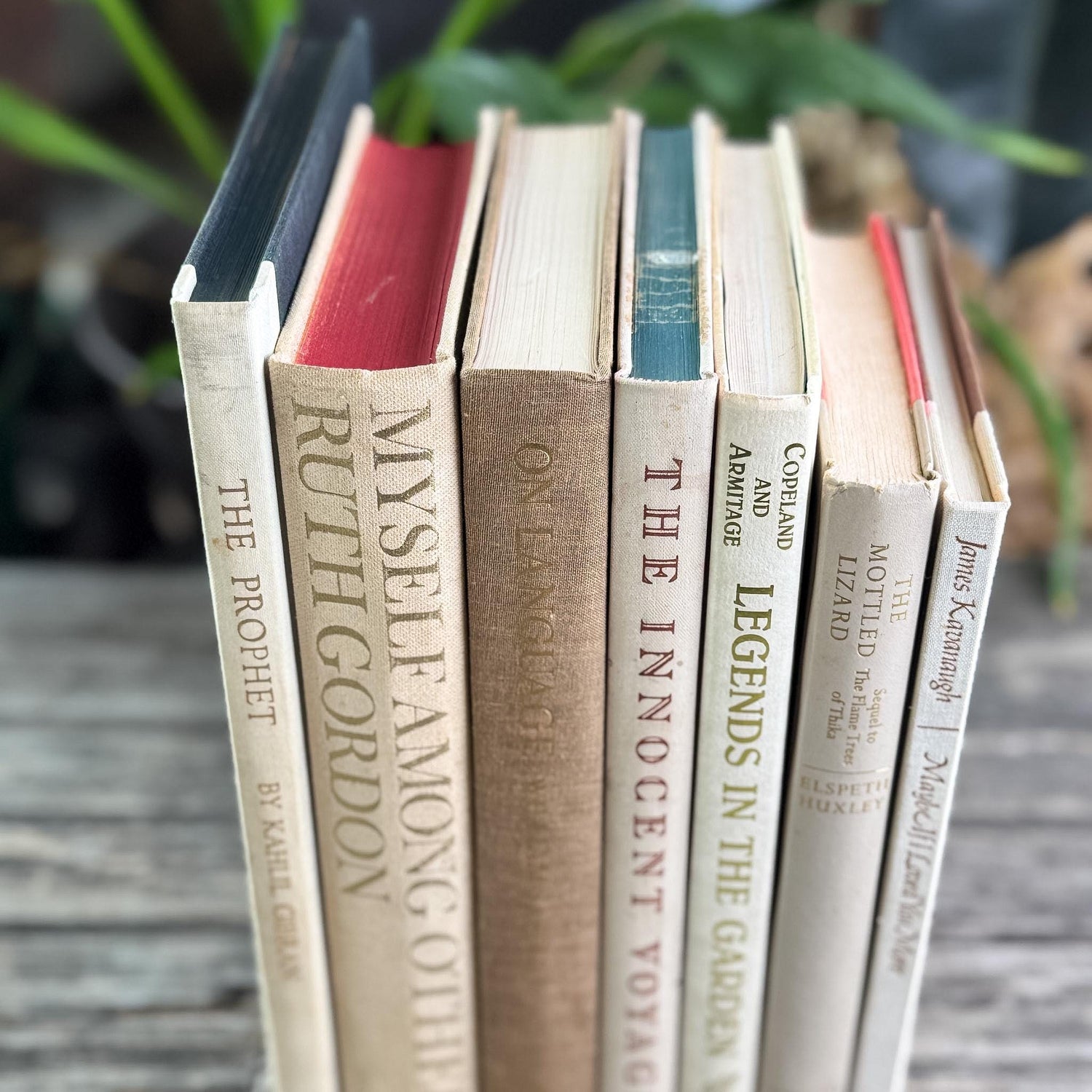 Vintage Book Set in White, Cream, Beige, Gold, and Bronze