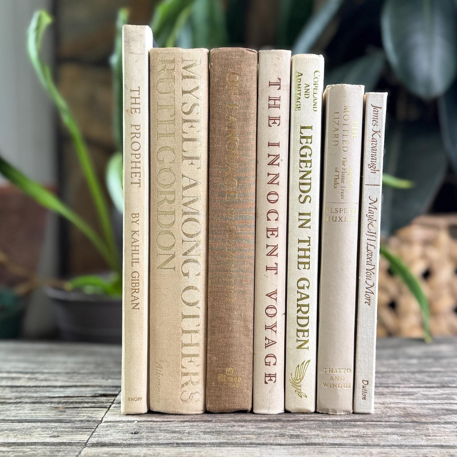 Vintage Book Set in White, Cream, Beige, Gold, and Bronze