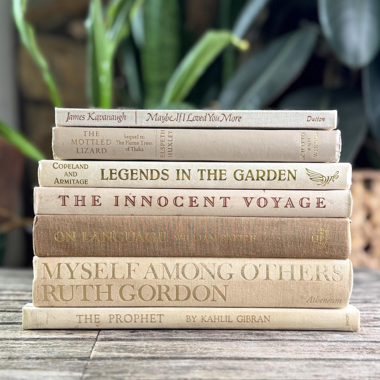 Vintage Book Set in White, Cream, Beige, Gold, and Bronze