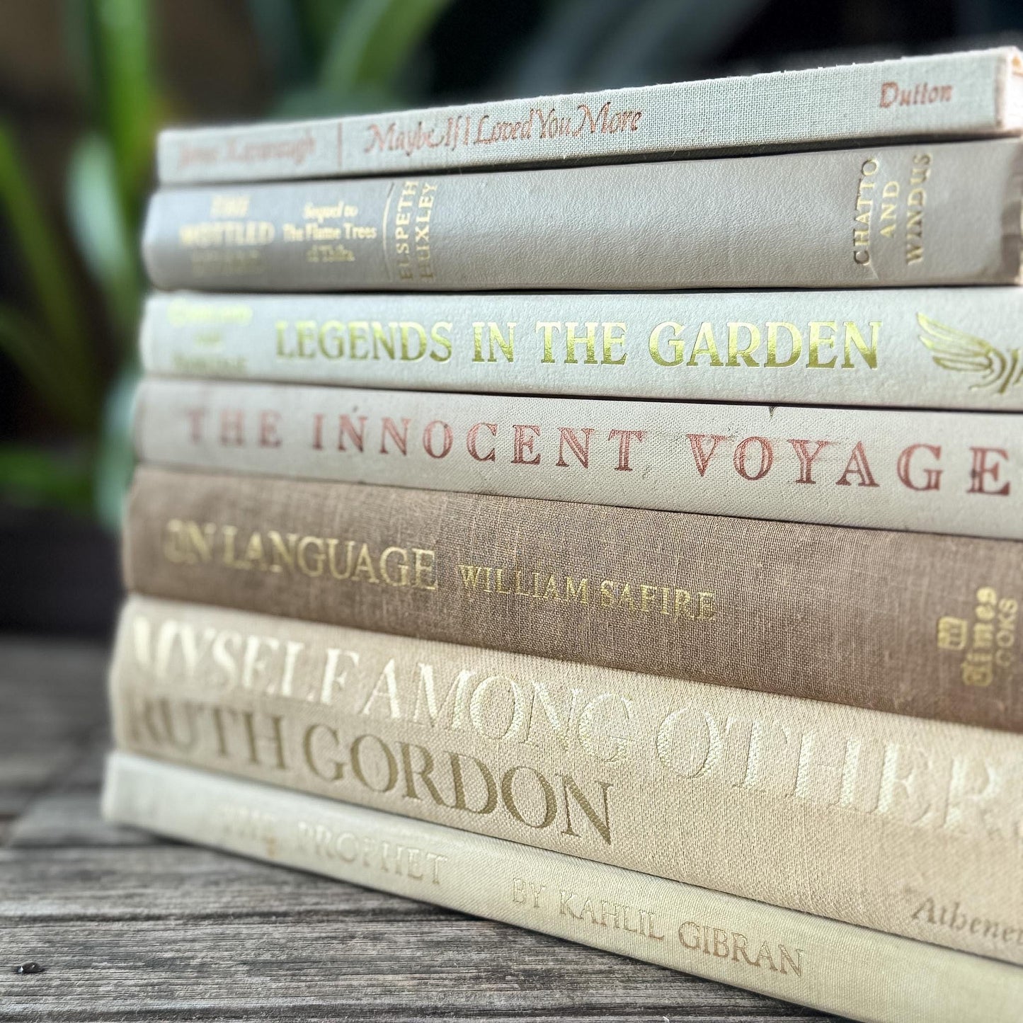 Vintage Book Set in White, Cream, Beige, Gold, and Bronze